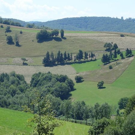 Pensiunea Margareta Sita Buzăului Exterior photo