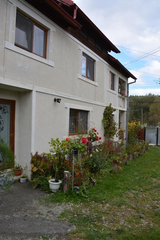 Pensiunea Margareta Sita Buzăului Exterior photo